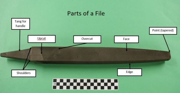 Parts of a file